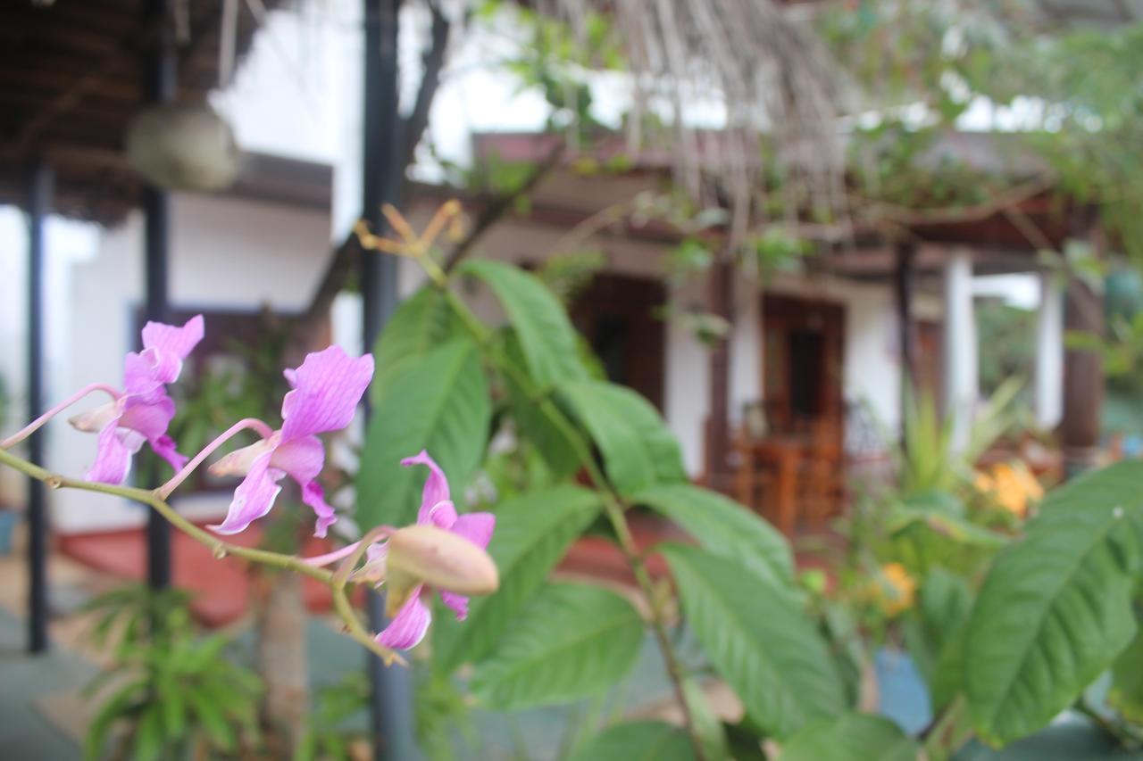 Julie Guest House Тангалла Экстерьер фото