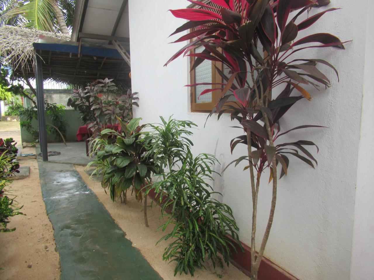 Julie Guest House Тангалла Экстерьер фото
