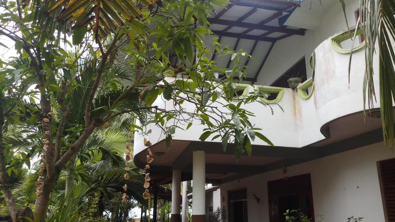 Julie Guest House Тангалла Экстерьер фото