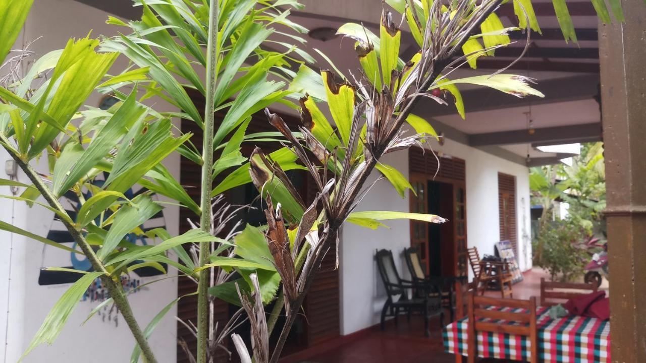 Julie Guest House Тангалла Экстерьер фото